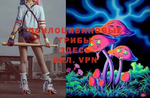 молекула духа Бронницы