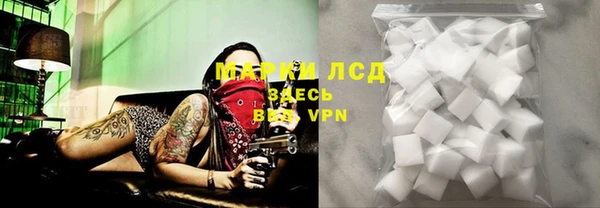 молекула духа Бронницы