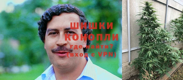 молекула духа Бронницы